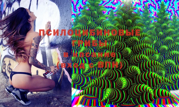 эйфоретик Бронницы