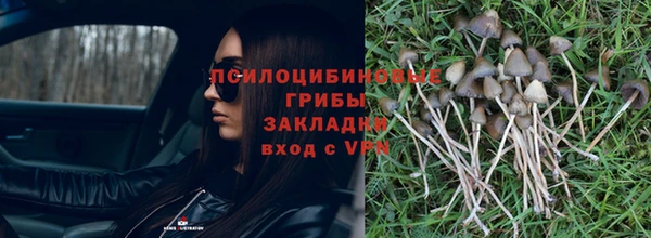 марки nbome Бородино