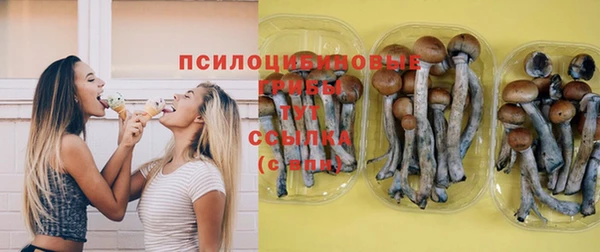 героин Богородицк